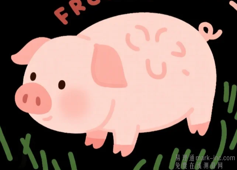 属猪女和什么属相最不配对